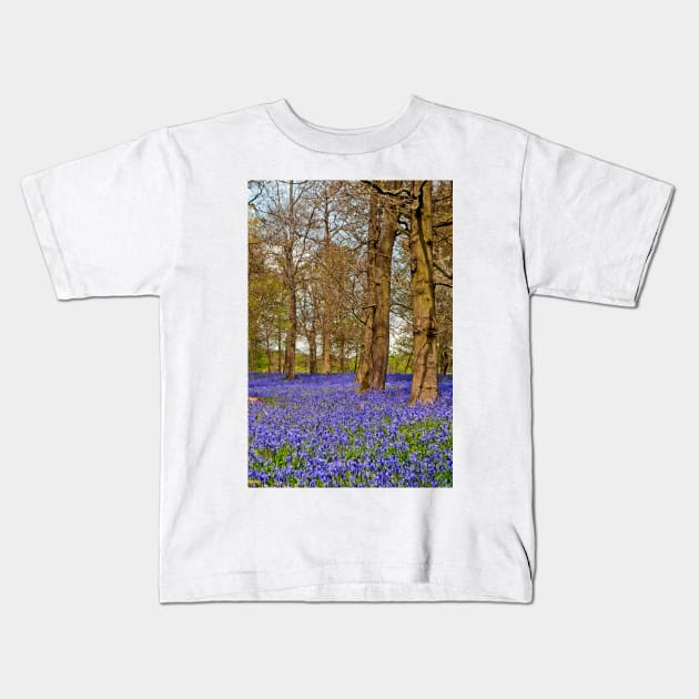 Bluebell Woods Greys Court Oxfordshire England Kids T-Shirt by AndyEvansPhotos